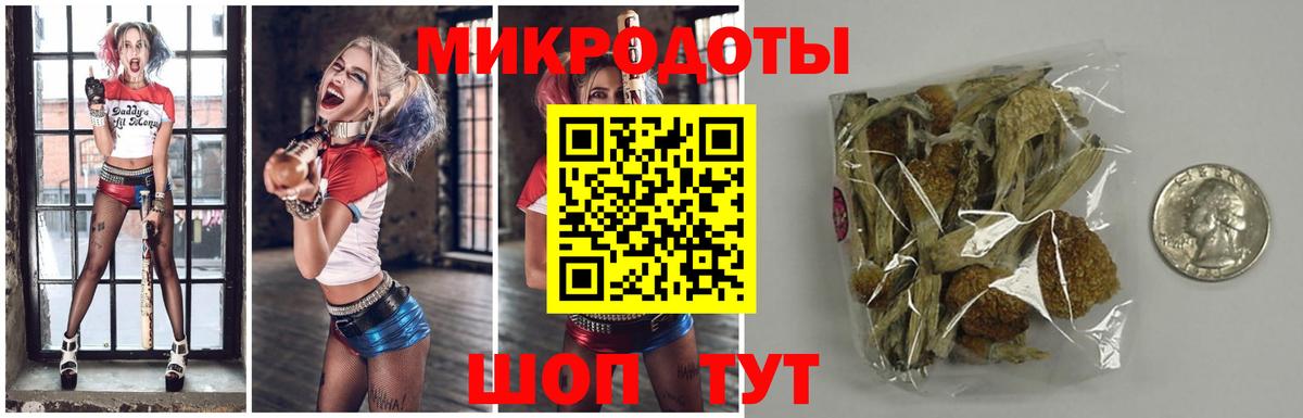 Галлюциногенные грибы Psilocybe  Вход с VPN  Электрогорск 